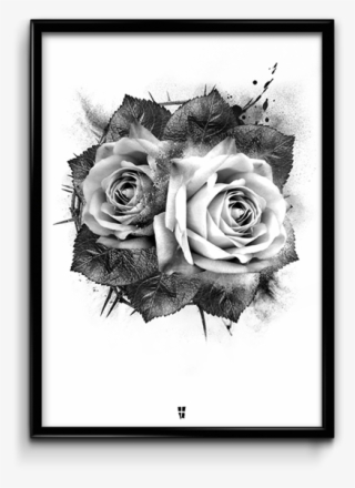 Produkt / Grafiske Plakater / 50x70cm - Rose - Plakat #5509388