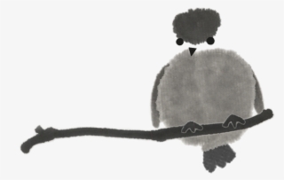 Ying-fang Shen - Ying Fang Shen #5510193