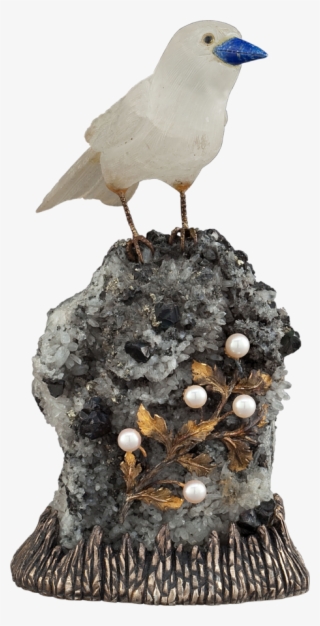 Seagulls - Shorebird #5510571