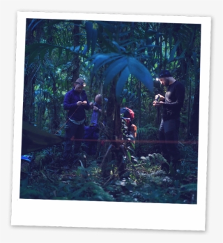 Jungle Camplife - Breakfast #5510844