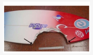 Bite Damage To A Surfboard Produced By A Large Tiger - Tiger Shark #5511070