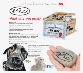 Whatis Mapped Img - Whats A Pet Rock #5512472