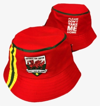 Wales Spirit Of #5512547