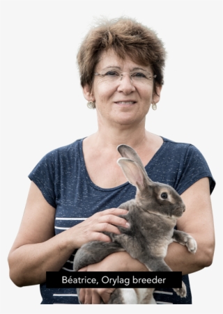 Support To The Breeders Of Rex Du Poitou - Orylag #5513586