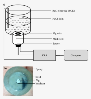 A Graduated Cylinder Was Placed On The Top Of The Electrode - Triple Beam Balance #5513804