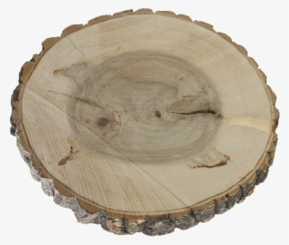 Slice Png Poplar Base With Banner Free - Poplar Wood #5514775
