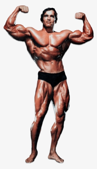 Arnold Schwarzenegger - Historyofbodybuilding - Com - Arnold Schwarzenegger - Bodybuilding Motivational Poster #5514932 Arnold Schwarzenegger - Historyofbodybuilding - Com - Arnold Schwarzenegger - Bodybuilding Motivational Poster #5514932