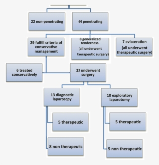 Characteristics Of Injuries - Injury #5516357