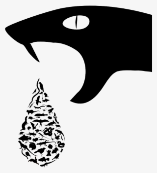 Research - Ecology And Evolution #5516444