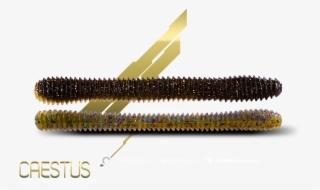 Legio Aureatm Caestus Features A Tapered Ringed Body - Mascara #5516776