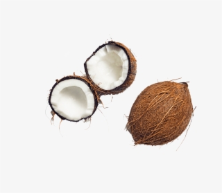 Coconut Free Transparent Images - Coconut #5516905