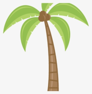 Palm Tree Clipart Borders - Cartoon Palm Tree Transparent #5518286 Palm Tree Clipart Borders - Cartoon Palm Tree Transparent #5518286