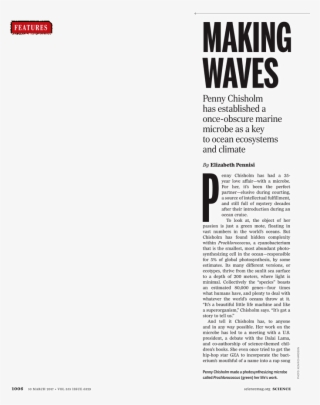 What - Steven Avery #5520070