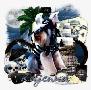 Leather And Lace Tuts Furry Pirate Png Illustration - Furry Pirate #5520233