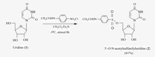 Synthesis Of 5' O N Acetylsulfanilyluridine - Diagram #5520556