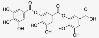 Trigallic Acid - Tris Edta Buffer Structure #5521424