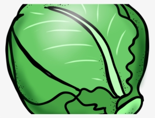 Lettuce Clipart Lettuce Slice #5523889 Lettuce Clipart Lettuce Slice #5523889