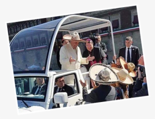 Verde Palm And Woven Paper Hats - Jollyboat #5523958