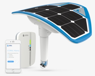 Computer Vision Based Drowning Detection System - Drowning #5524971