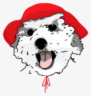 Lemon - Illustration #5525037