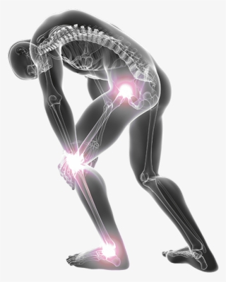 Muscle And Joint Pain - Back Maintenance & Body Management: A Unique Method #5525302