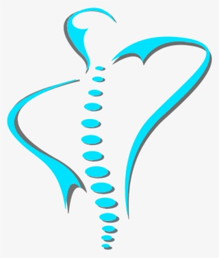 15 Vector Spine For Free Download On Mbtskoudsalg #5525774