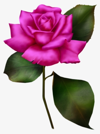 Pink-rose 3 003 - Psd #5526192