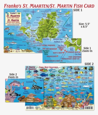 Franko Maps St Maarten/st Martin Coral Reef Dive Creature #5528517