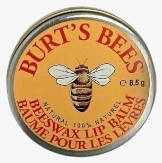 Png Freetoedit Moodboard Bees Aesthetic Stickers - Burt Bees #5529780