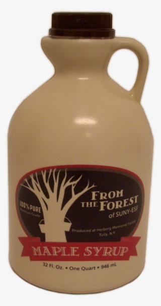Maple Syrup - Quart - Water Bottle #5529985