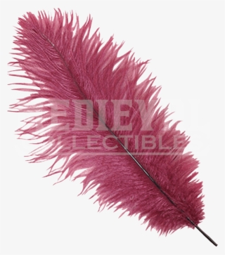 Burgundy Feather Plume Op - Pink Ostrich Feather Png #5529990