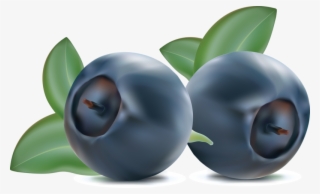 Blueberries Png, Download Png Image With Transparent - Clipart Blueberries Png #5530662