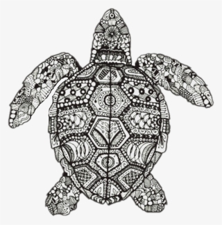 Turtle Mandala Perfec Beutiful Feturethis Avocado Sonic - Turtle Mandala #5530723