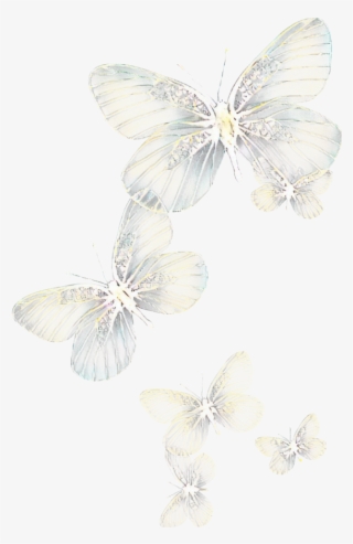 Ftestickers Butterflies Light Glowing - Light #5530831