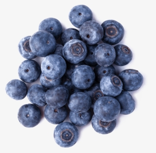 Bilberry - Wellness #5531051