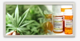 New On-line Cannabis Workplace Safety Course - Guide To Growing Your Own Marijuana #5533042