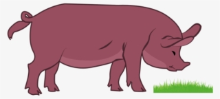 Pig Png Vector Clipart Transparent Background Image - Transparent Background Pig Clipart Png #5533492