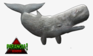 Moby Dick - Zt2downloadlibrary Whale #5533836