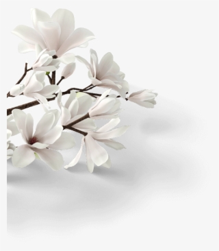 Read All - “ - Artificial Flower #5534340