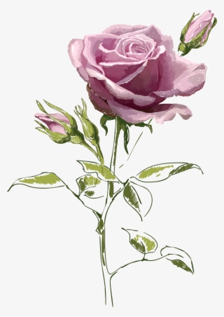 Flores Y Mariposas Encontradas En La Web - Vintage Rose Postcard #5536600