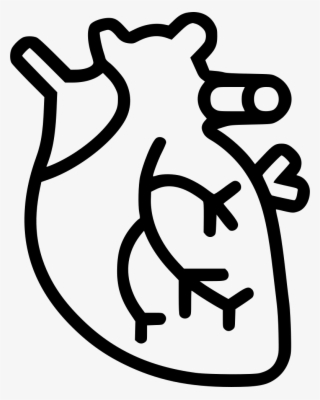 Banner Freeuse Library Cardiac Muscle Png Icon Free - Clipart White And Black Cardiac Muscle #5537836