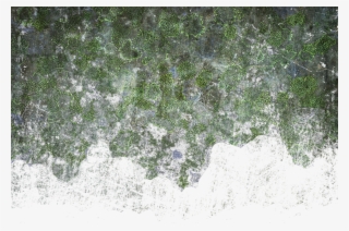 Wall Color - Grass #5541885