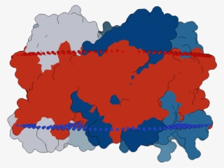 Transmembrane Flat Surface Display Opm - Cumulus #5541940