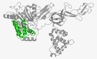 <div Class='caption-body'>1 Copy Of Pfam Domain - Minichromosome Maintenance #5542279
