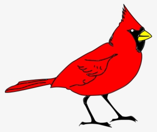Feathered Friend Cardinals' Choice Is A Premium Blend - Clip Art Cardinal #5543143