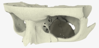 Firefox Icon - Xilloc #5544342