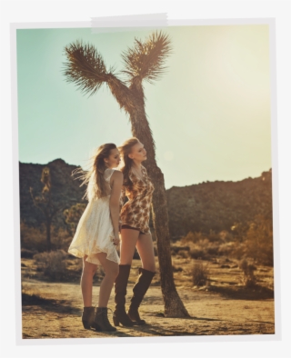 Joshua Tree Both #5544473