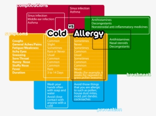 Cold Vs - Allergy - Allergy Cold #5548321