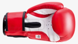 Sting Aiba Approved Competition Leather Boxing Gloves #5548609