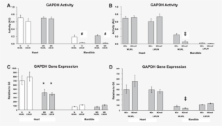Enzyme Activity Of Glyceraldehyde 3 Phosphate Dehydrogenase - Diagram #5549710